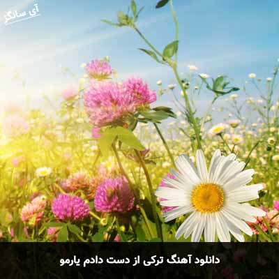 دانلود آهنگ ترکی از دست دادم یارمو